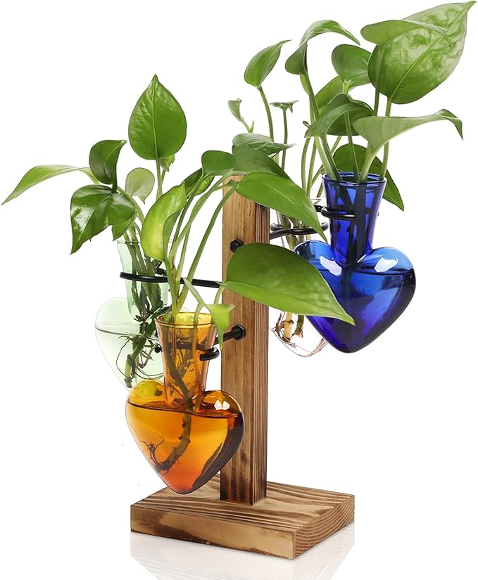 Terrarium Plant Propagation Station, Heart Glass with 4 Hangers