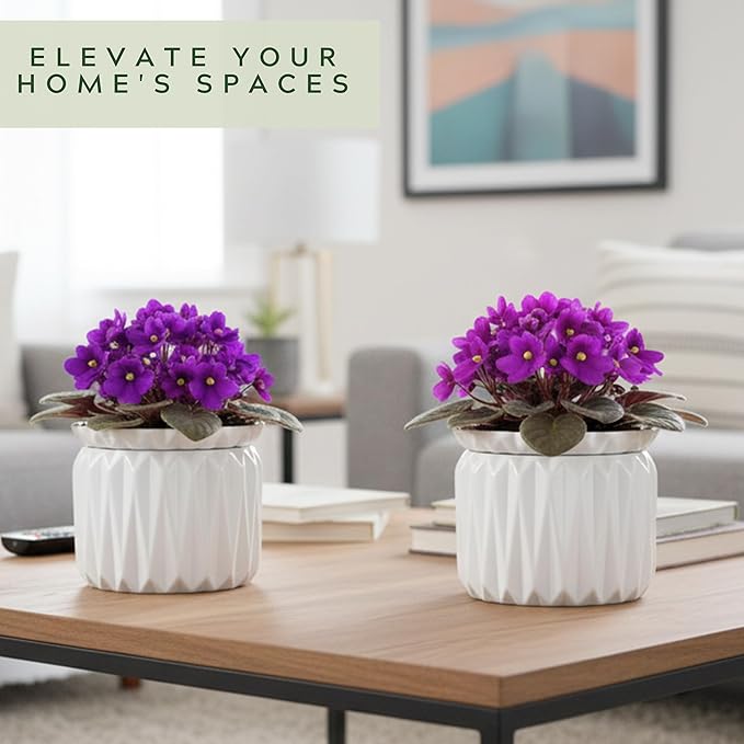 6 Inch African Violet Pots Self Watering, Ceramic Planter with Water Reservoir and Fill Lines, 4 Inch Opening, Indoor Flower Pot, Holds 3 Weeks of Water (1 Pack)