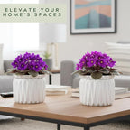 6 Inch African Violet Pots Self Watering, Ceramic Planter with Water Reservoir and Fill Lines, 4 Inch Opening, Indoor Flower Pot, Holds 3 Weeks of Water (2 Pack White)