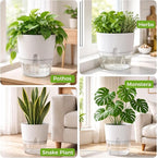 Planterhoma 5 Pack Self Watering Pots for Indoor Plants, 9 Inch Plant Pot Plastic Self Watering Planter for Orchid, Monstera, Lily, Large Clear Flower Pots with Drainage Holes and Wicking Rope, White