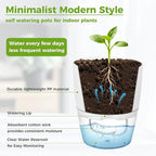 Planterhoma 3 Pack Self Watering Pots for Indoor Plants, 6 Inch Plant Pot Plastic Self Watering Planter for Orchid, African Violet, Small Clear Flower Pots with Drainage Holes and Wicking Rope, White