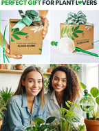 16 Oz Plant Watering Globes for Indoor Plants with Metal Self Watering Planter Insert - Premium XL Glass Hand-Blown Globe - Automatic Plant Waterer Indoor, Gift Idea for Gardeners [1 Globe, Clear]