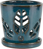 W&W Orchid Pot with Holes and Saucer for Repotting, Teal, 5.5 Inch