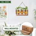 Terrarium Set with Heart-Shaped Glass Vases, Wood Stand, Amber