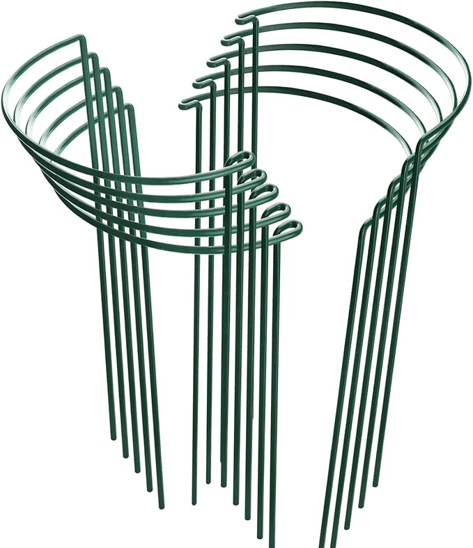 Plant Support Cages 10 Pack Dark Green Iron Half Circle Stakes