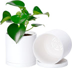 Planter Pots, Set of 2 Modern Matte White Plastic with Drainage and Saucers