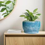 SQOWL Ceramic Planters - 10 Inch Plant Pot Indoor with Drainage Hole and Saucer, Decorative Flower Pot Outdoor, Round Large Planter, Living Room Office Garden Decor, Plant Lover Gifts for Women, Blue