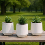 Plant Pots，Set of 3 Plastic Pots for Indoor Plants,Flower Pots Outdoor Planters with Drainage Hole and Seamless Saucer,Milky-Yellow