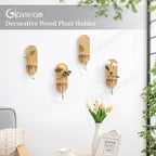 Glasseam Hanging Plant Propagation Stations: Boho Glass Wall Propagation vases Set of 4 - Wood Plant Holder Decorative Planters Terrarium Test Tube for Home Office Indoor Decor