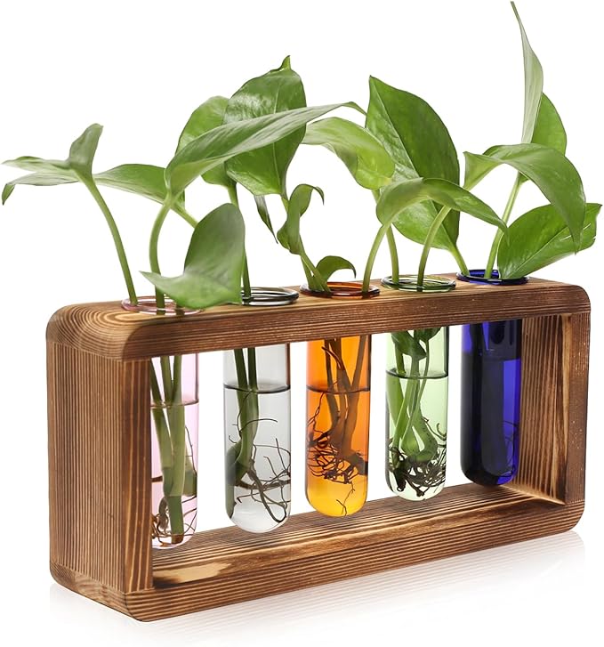Terrarium Propagation Station with Wood Base and 5 Glass Test Tubes