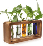 Terrarium Propagation Station with Wood Base and 5 Glass Test Tubes