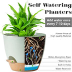 Self Watering Planter Pots Set of 5 - Green Plastic Indoor Pots with Drainage Holes, Saucers and Reservoir for Home Decor, Office Desk, Windowsill, Shelf (Gift Idea)