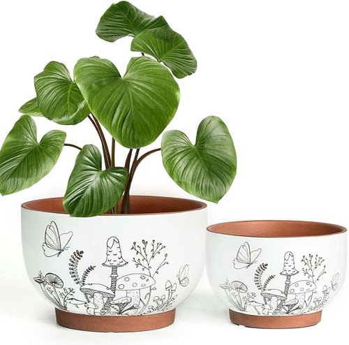 & 6 Inch Terracotta Pots, 8 Inch, Cottage