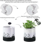 Nihow Self Watering Plant Pot: 8 Inch Ceramic Planter with Drainage Hole & Water Storage Plus for Indoor & Outdoor Plants - Cylinder Round Flower Pot for Succulent/Herbs/Violets - White