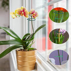 6PCS Single Stem Plant Support Stakes, 16 Inch Monstera Plant Support with 50 PCS Twist Ties, Garden Open Ring Plants Stake, Versatile Plants Stakes for Amaryllis, Rose, Tomatoes, Lily, Peony, Orchid