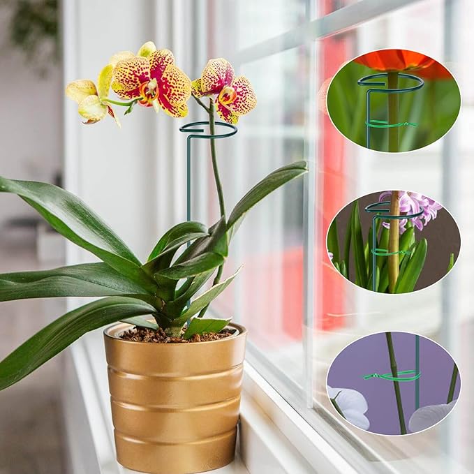 6PCS Single Stem Plant Support Stakes, 16 Inch Monstera Plant Support with 50 PCS Twist Ties, Garden Open Ring Plants Stake, Versatile Plants Stakes for Amaryllis, Rose, Tomatoes, Lily, Peony, Orchid