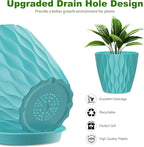 6 Pack 7 Inch Indoor Plant Pots with Drainage Holes, Outdoor Plastic Decorative Flower Pots, Garden Planters with Tray Saucers for Orchids, Violets, Succulents, Herbs, and Other Plants