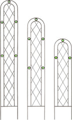 Arcadia Garden Products TR01 4' x 10" Arched Garden Trellis, Black