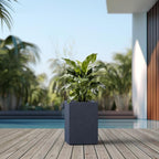 Kante 15.7" H Tall Rectangular Concrete Planters, Outdoor Indoor Lightweight Plant Pots with Drainage Hole and Rubber Plug, Modern Style for Home Garden Patio, Charcoal