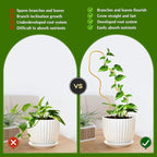 13.4 Inch Indoor Plant Trellis for Climbing Plants,Metal Trellis,Small Garden Trellis for Potted Plants,Plant Stakes for Indoor Plants Accessories Hoya,Flower,Plant Support (Wave-Metal)