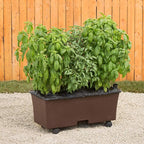 EarthBox 80103 Garden Kit, Standard, Chocolate