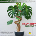 Soupiar 2 Pack 48'' Bendable Moss Pole for Monstera & Pothos - Tall Handmade Coco Coir Plant Support Stakes for Large Climbing Indoor Plants, Potted Houseplant Trellis Accessories