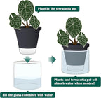 D'vine Dev 6 Inch Design Self Watering Planter for Indoor Plants, Black Terracotta Pot with Cylinder Glass Cup, Set of 2, 37-Y-B-3