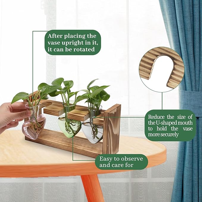 Heart Shaped Glass Terrarium Set with Wood Stand, 3 Vases
