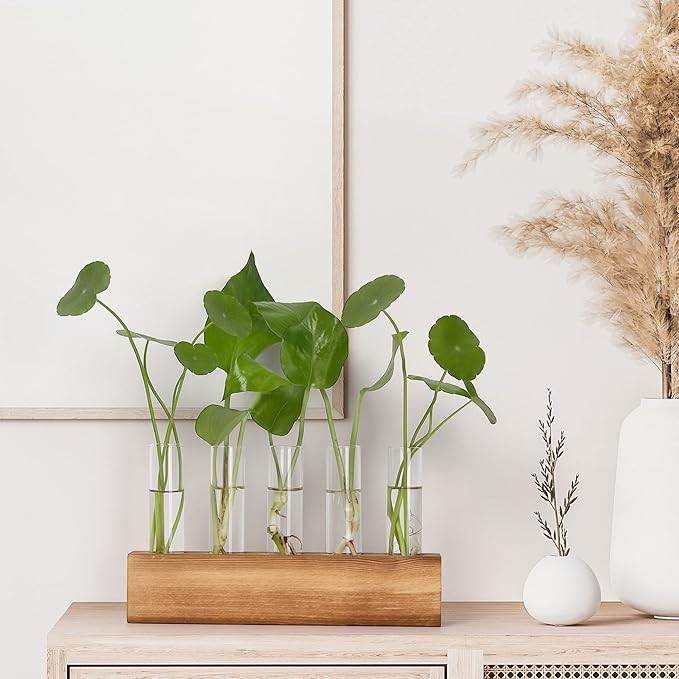 Terrariums Propagation Station with 5 Glass Test Tubes and Wooden Stand, Brown