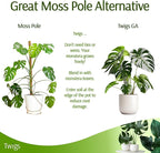 Stackable Monstera Plant Support Stakes, Climbing Support for Indoor & Outdoor Use, Plant Accessories, Aesthetic Alternative to Moss Poles & Trellises – Monstera Green, 5 Pack, 17" L
