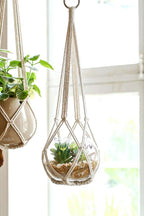 Dahey Macrame Plant Hanger Set of 3 with Hooks Indoor Hanging Planter Basket 35"/29"/23" Handmade Woven Cotton Rope Flower Pot Crochet Plant Holder Stand for Boho Home Decor No Tassels,Beige