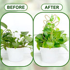 AUGSUN 2 Pcs Gold Trellis Leaf Shape 12 Inch Metal Plant Support with 50 Ties for Climbing Potted Plants Houseplant Garden Indoor Outdoor