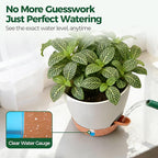 T4U 2 Pack 8 Inch Self Watering Pots - Water Level Indicator & Deep Reservoir, Mess-Free Planter for Busy People, Beginners & Gardeners, Pothos/Herbs/Snake Plants, Indoor Outdoor Use (White)