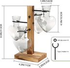 Terrarium Heart Glass Planter Set with Wood Stand and 4 Hangers
