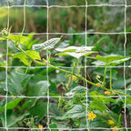 Tcamp Trellis Netting for Climbing Plants, Cucumber Trellis for Garden (5Ft x30Ft, 6" Square Mesh Ployester, 2 Pack)