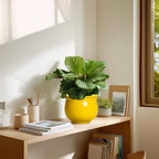 Ceramic Self Watering Planters, 6 Inch African Violet Pots for Indoor Outdoor Plants, Ceramic Plant Pot with Absorbent Inner Pot, Round Flower Pots, Living Room Decor, Gifts for Women, Yellow