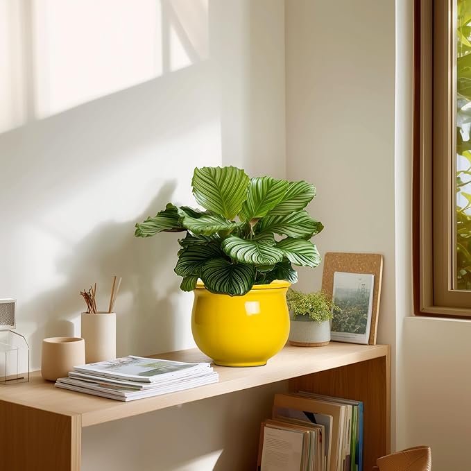 Ceramic Self Watering Planters, 6 Inch African Violet Pots for Indoor Outdoor Plants, Ceramic Plant Pot with Absorbent Inner Pot, Round Flower Pots, Living Room Decor, Gifts for Women, Yellow