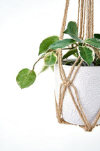 Dahey Macrame Plant Hanger Set of 3 with Hooks Indoor Hanging Planter Basket 35"/29"/23" Handmade Woven Cotton Rope Flower Pot Crochet Plant Holder Stand for Boho Home Decor No Tassels,Brown