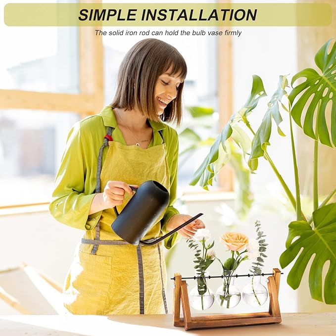 Terrarium Set, 3 Clear Glass Bulbs on Natural Wood Stand