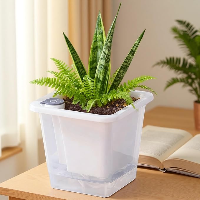 FAMZ Self Watering Pots for Indoor Plants 3 Pack，Clear Plant Pots with Drainage for African Violet、 Orchid、Succulent Plants Square Plant Pots（White 5.12"）