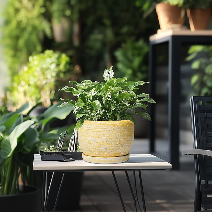 SQOWL Ceramic Flower Pots - 8 inch Plant Pot Indoor with Drainage Hole and Saucer, Modern Ceramic Planter Outdoor, Round Decorative Planter, Living Room Home Decor, Gifts for Plant Lovers, Yellow