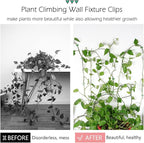 100 Pcs Plant Climbing Wall Fixture Clips Self-Adhesive Hook Vines Traction Clips Invisible Holder Garden Green Leaf Simulation Self-Adhesive Hook Wire Fixing Supporting