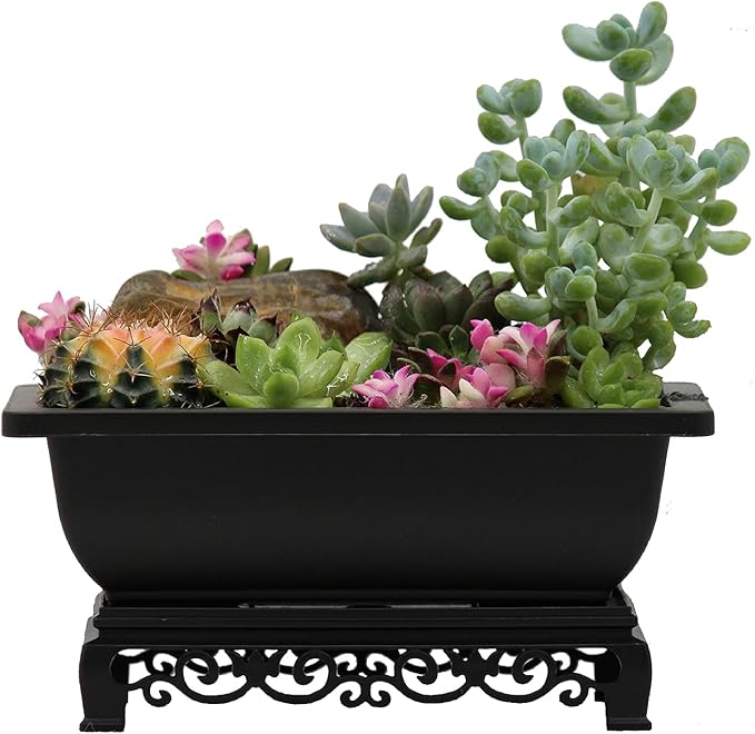 Bonsai Planter Rectangular Brown Plastic 7.5 Inch with Stand