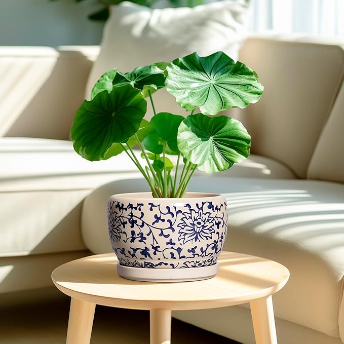 SQOWL Ceramic Planters for Indoor Plants - 8 inch Plant Pot with Drainage Hole and Saucer, Decorative Flower Pot Outdoor, Porcelain Round Planter, Living Room Decor, Gardening Gifts, Blue and Beige