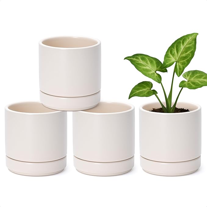 Planters Set of 4 Small Round Ceramic Pots in Oatmeal with Saucers
