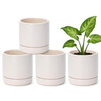 Planters Set of 4 Small Round Ceramic Pots in Oatmeal with Saucers