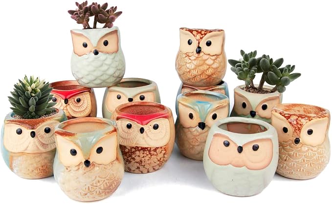 Planter Pots Mini Ceramic Owl Design, 12 Pack with Drainage Holes