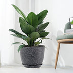 12inch Large Plant Pot, Modern Plastic Planter with High Driange Holes and Saucer for Indoor Outdoor Garden Plants and Flowers, Black Speckles