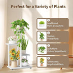 LASZOLA White 4 Tiered Wood Plant Stand Indoor for Large Heavy Duty Planter, Sturdy Multi Level Corner Vertical Flower Rack for Narrow House, Rustic Tall Orchid Shelving Holder for Decor, Space Saving