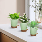 Self Watering Pots, 4 inch Flower Pots with Multi Mesh Drainage Holes, Small Platic Planters for Indoor Outdoor Garden Plants and Flowers (Green with Brown Tray, 4")